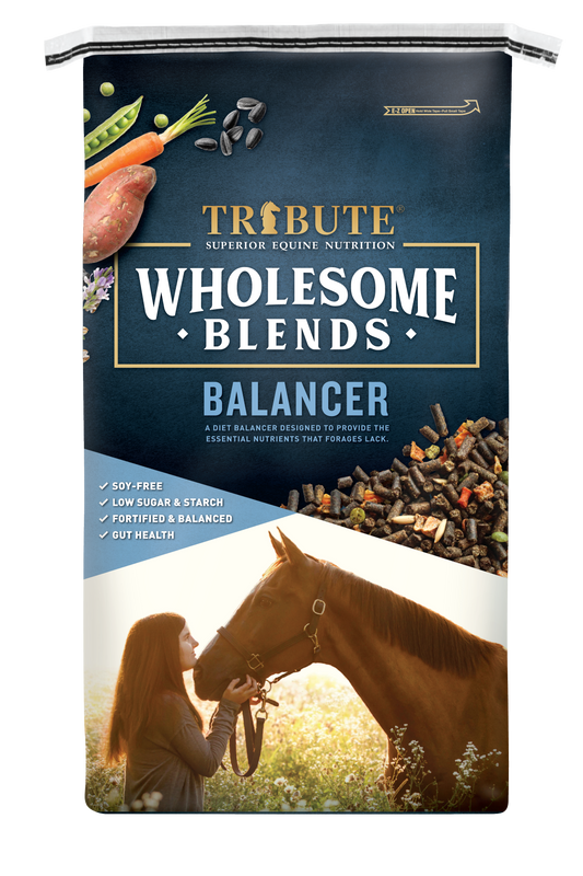 Wholesome Blends® Balancer, Soy-Free, Textured, Low NSC Ration Balancer
