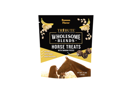 Banana Wholesome Blends® Horse Treats