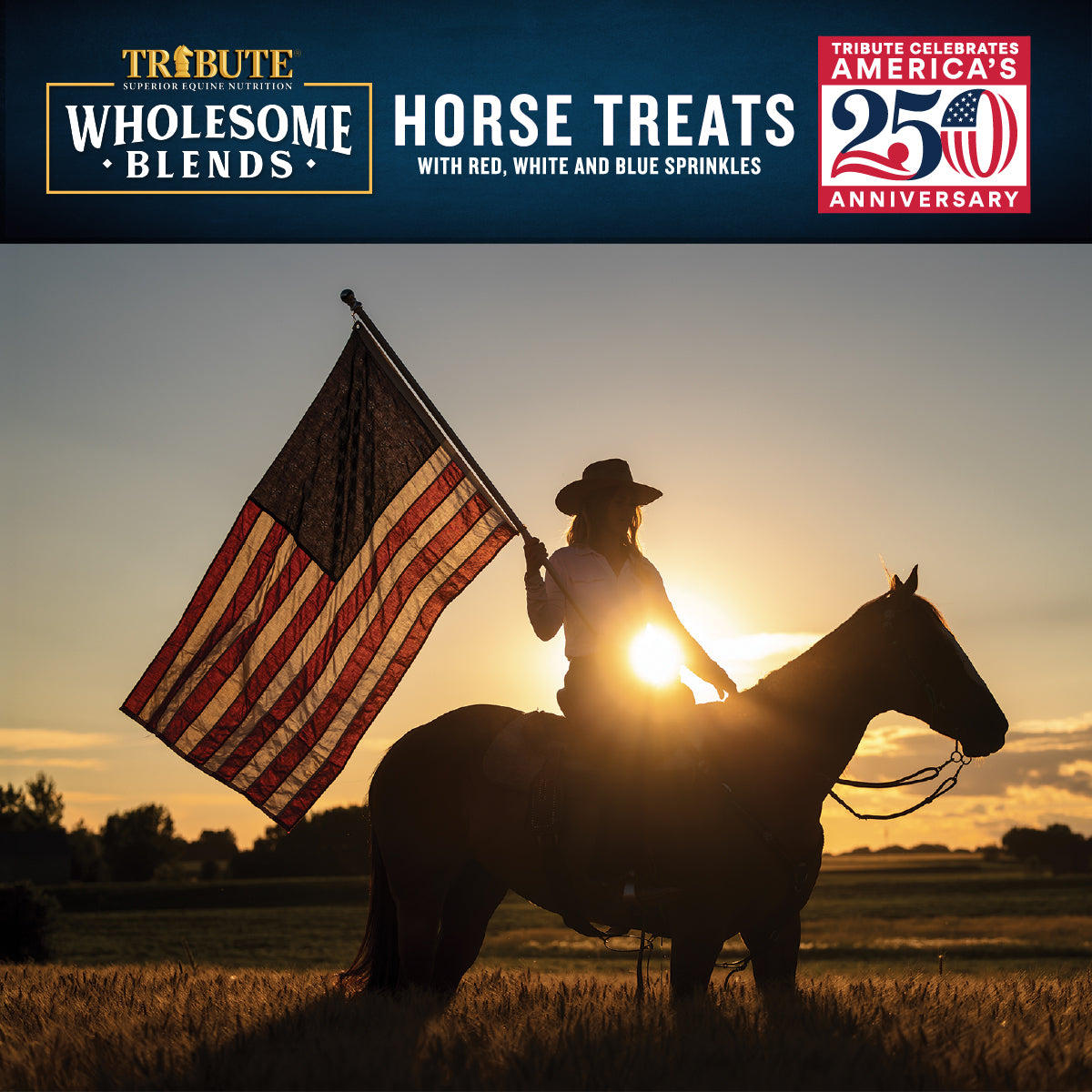 Patriotic Sprinkle Wholesome Blends® Horse Treats