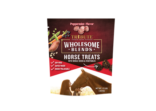 Peppermint Wholesome Blends® Horse Treats