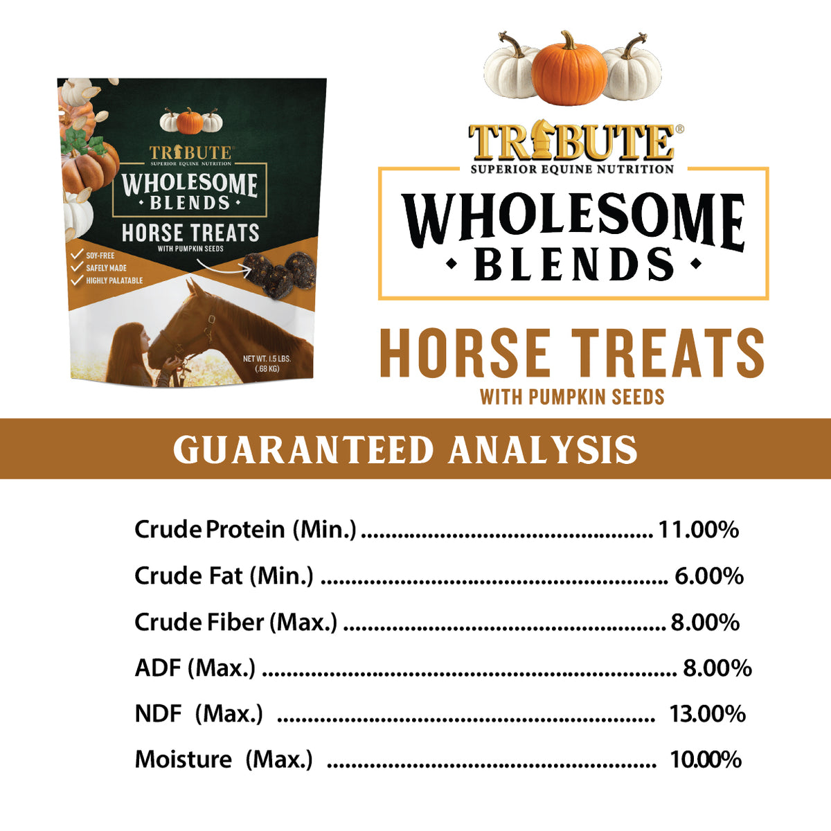 Pumpkin Wholesome Blends® Horse Treats