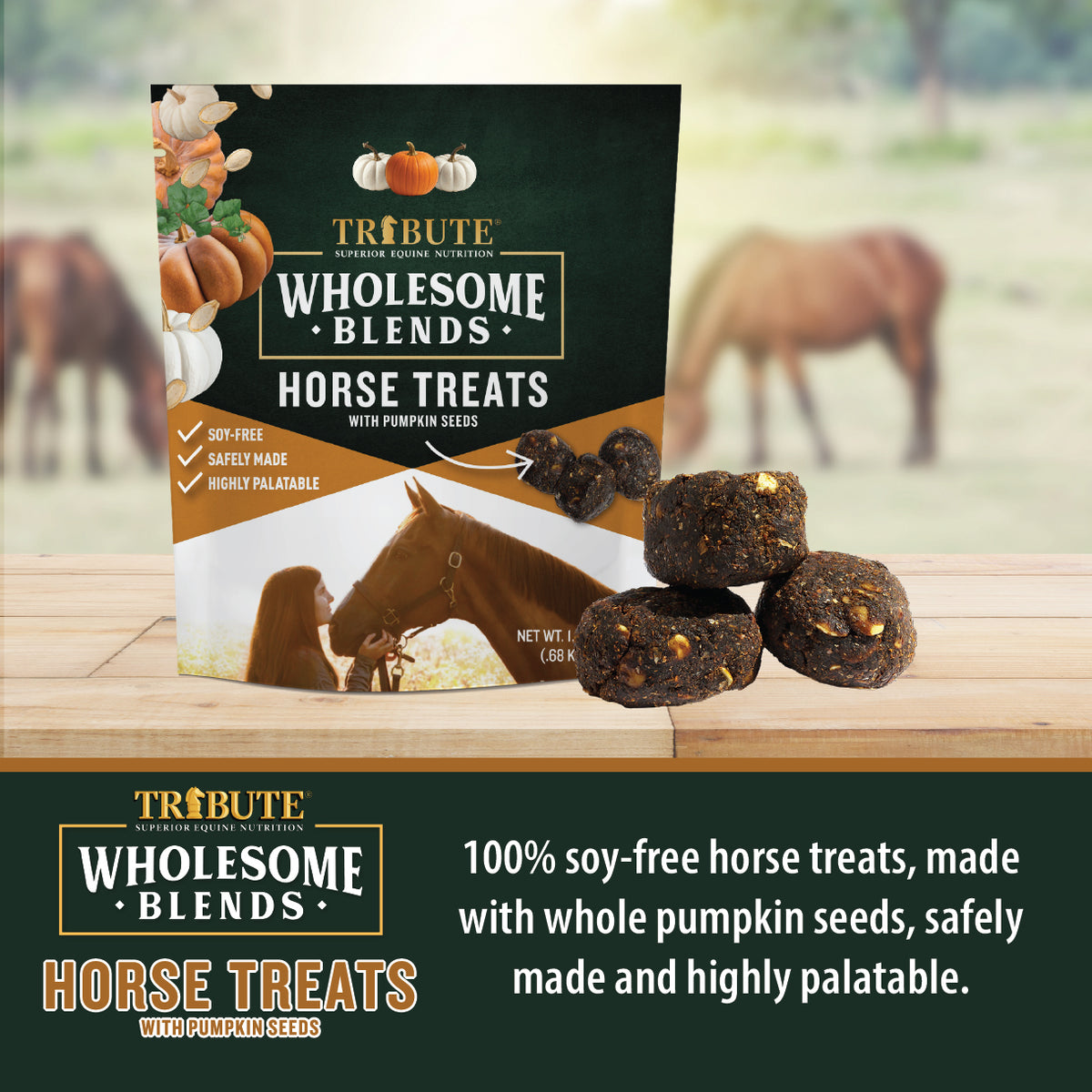 Pumpkin Wholesome Blends® Horse Treats