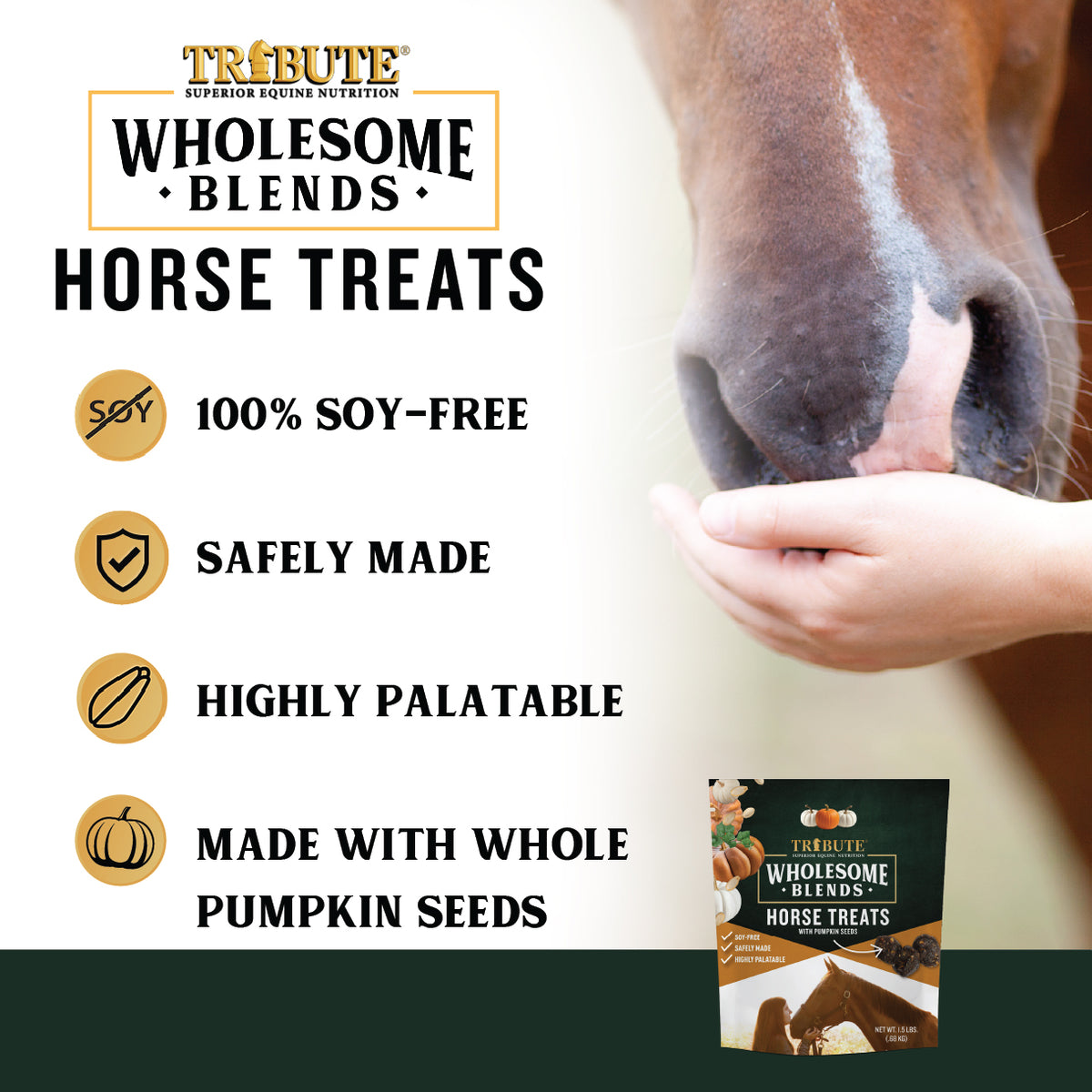 Pumpkin Wholesome Blends® Horse Treats