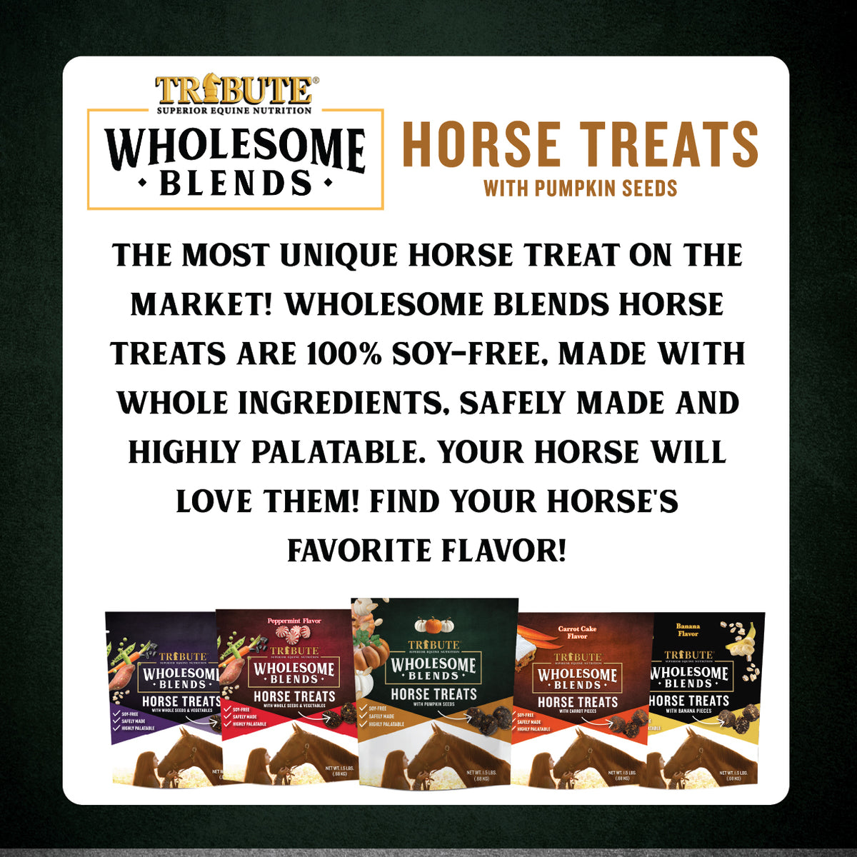Pumpkin Wholesome Blends® Horse Treats