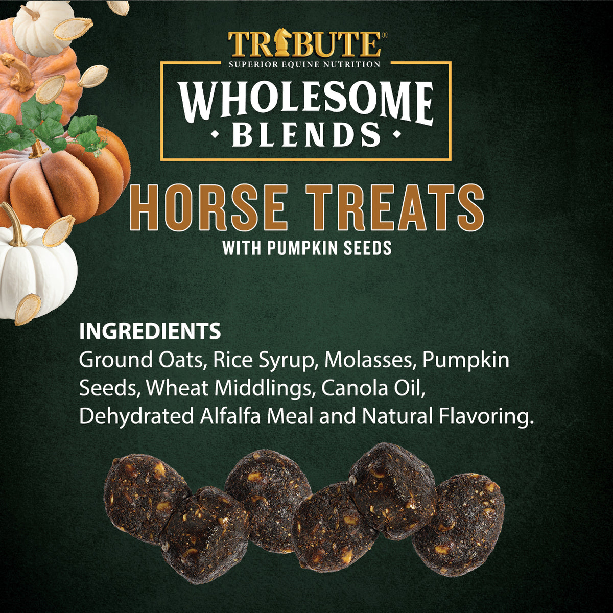 Pumpkin Wholesome Blends® Horse Treats