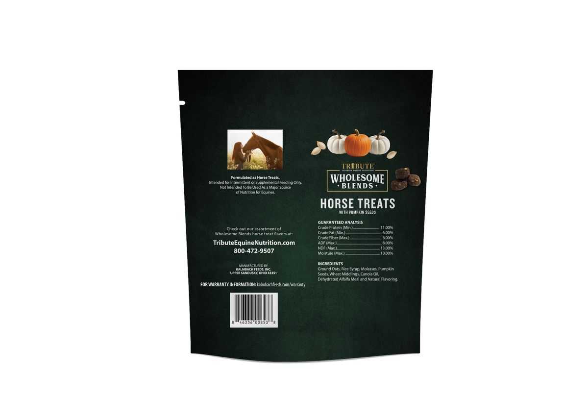 Pumpkin Wholesome Blends® Horse Treats