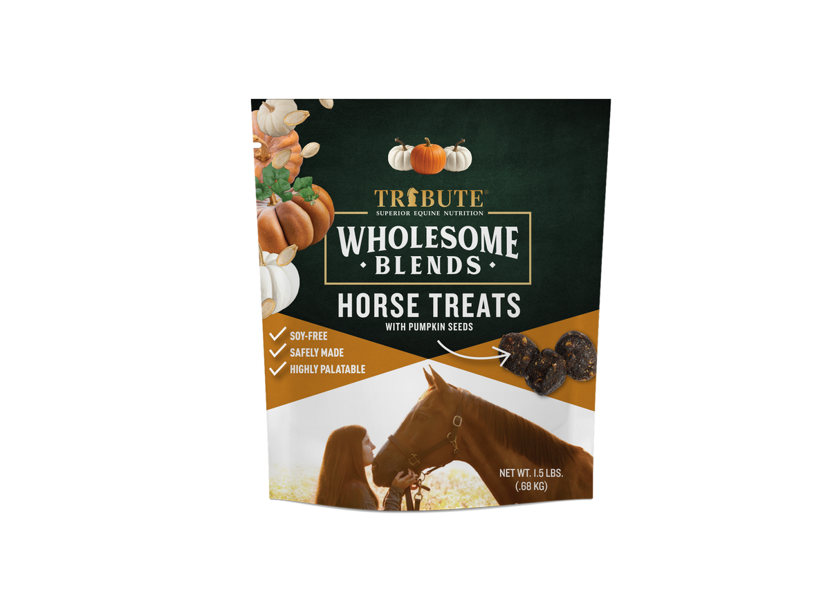 Pumpkin Wholesome Blends® Horse Treats