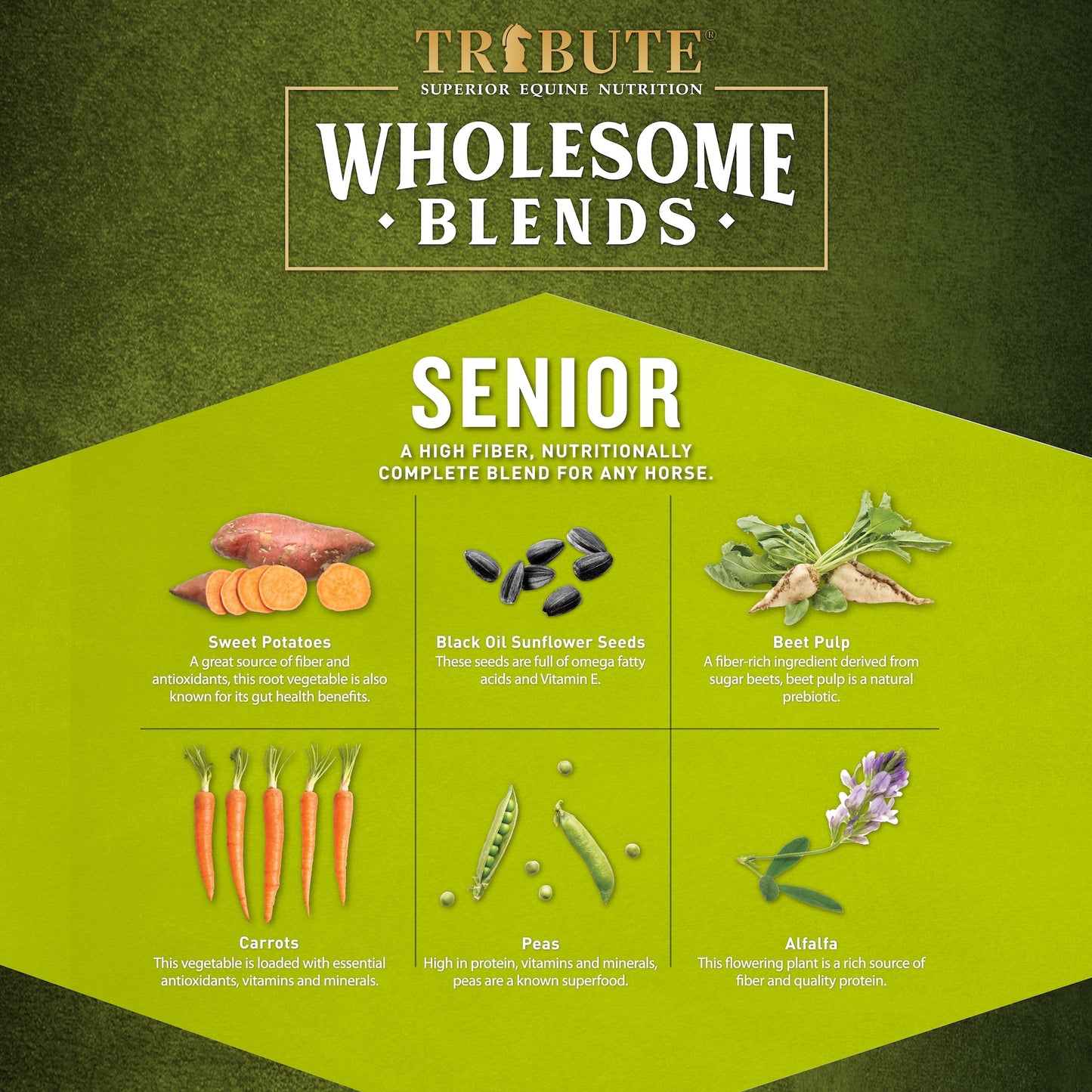Wholesome Blends® Senior, Soy-Free, Textured, Low NSC Feed