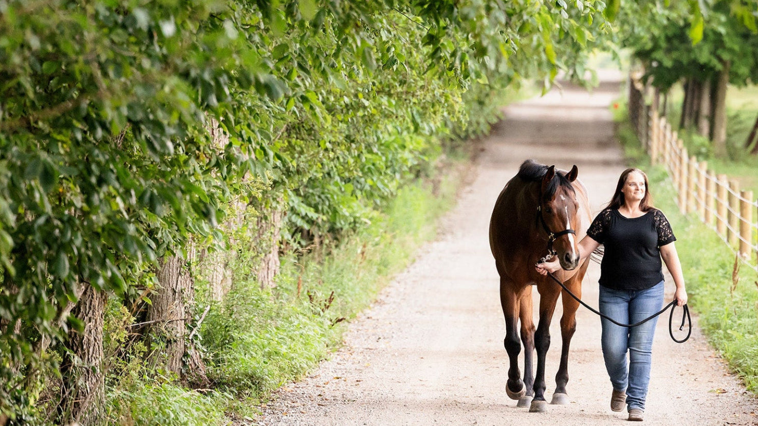 brunette woman walking with bay thoroughbred horse down lane with rees