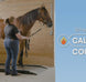 Equi-Librium™ Balancer