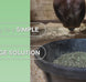 Equi-Librium™ Forage