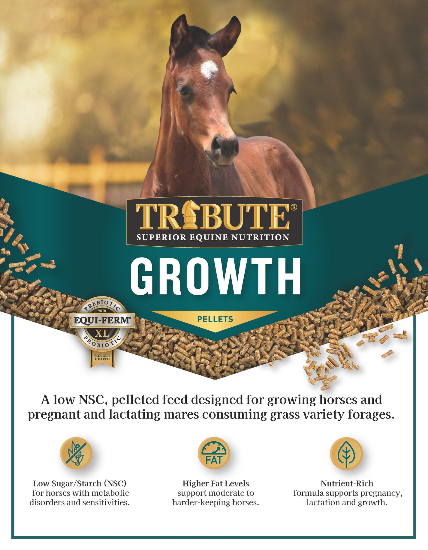 Growth PelletLow NSC Feed for Horses