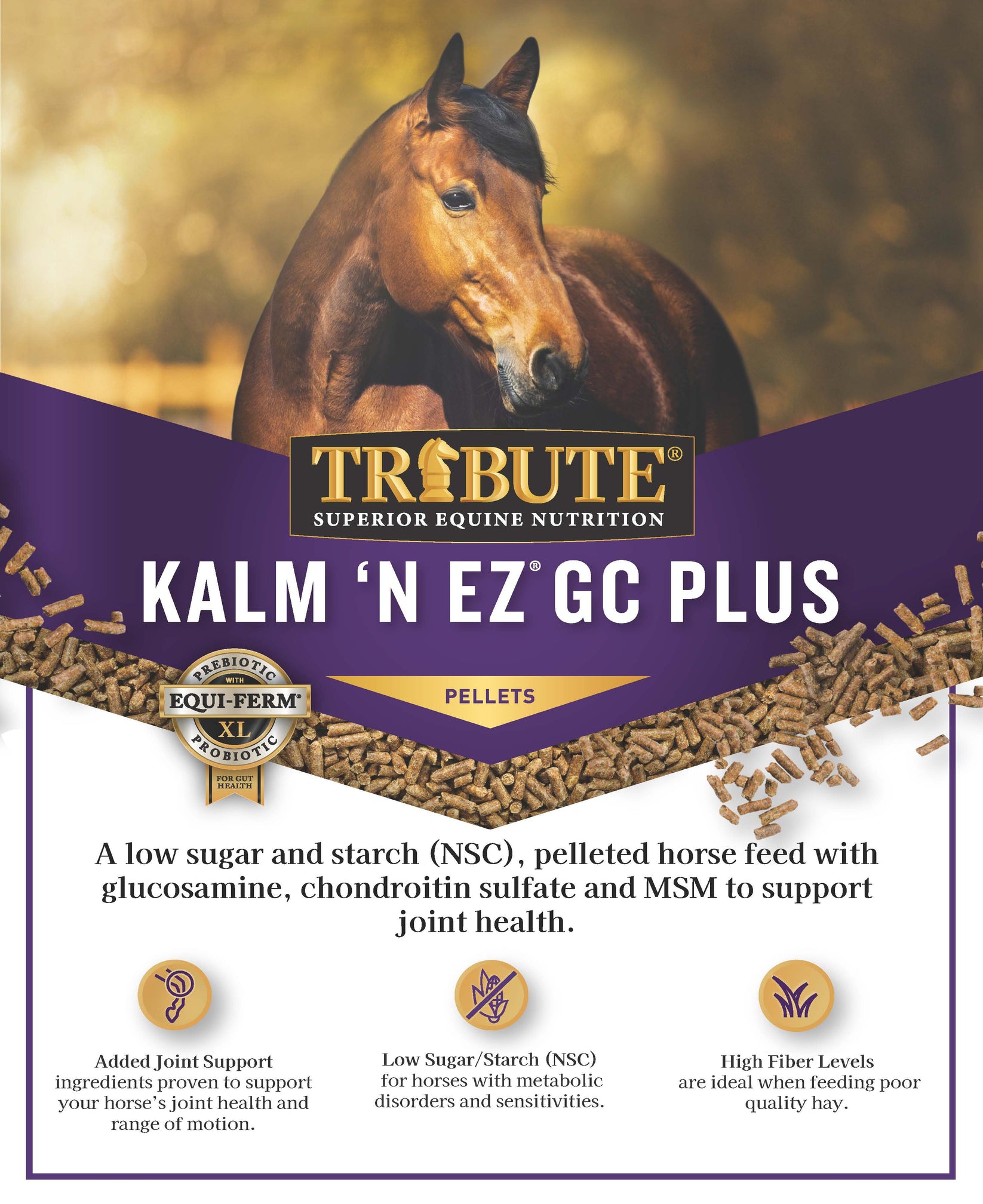 Kalm 'N EZ® GC Plus Horse Feed with Joint Support