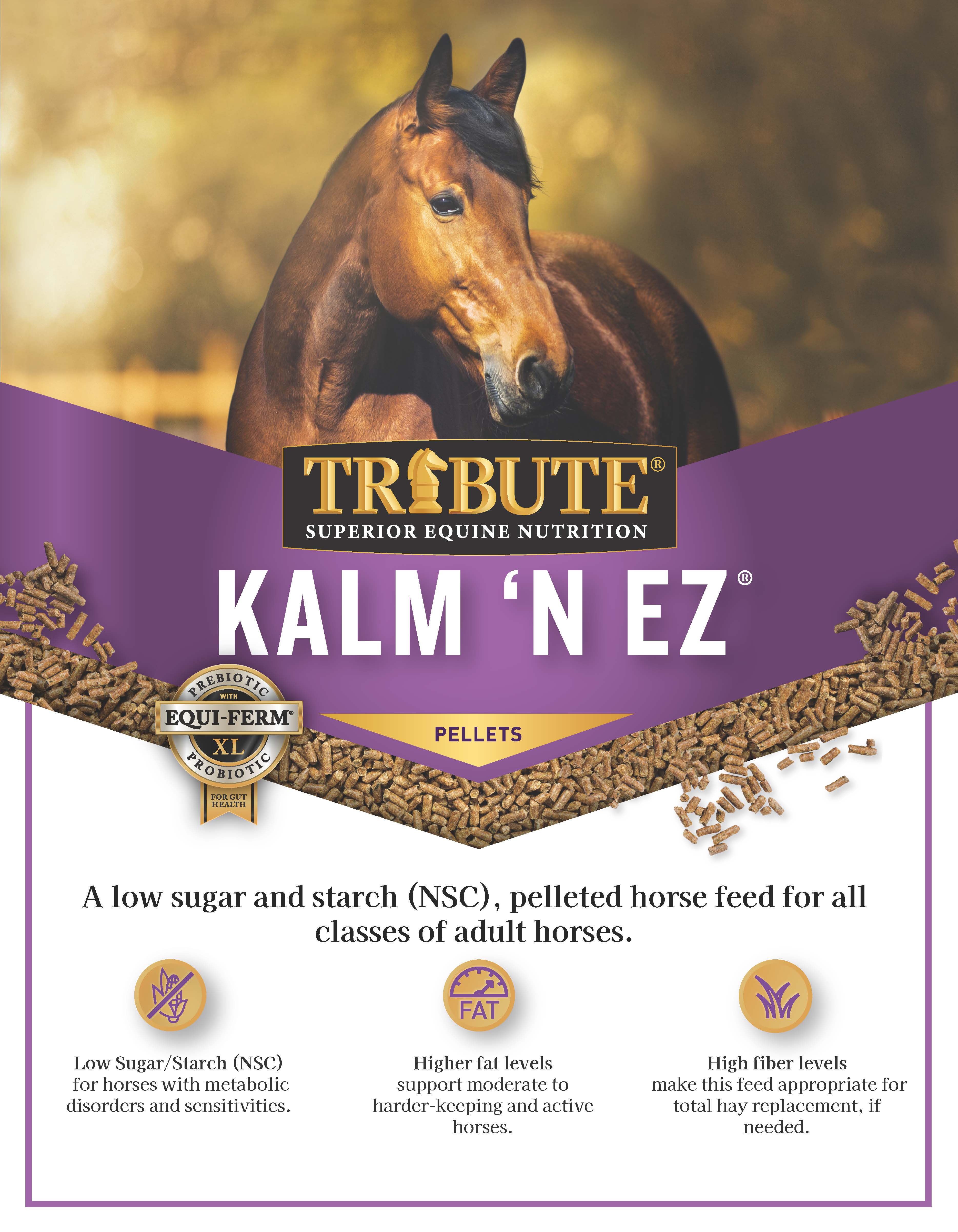 Kalm 'N EZ® Low NSC Horse Feed | Tribute Equine Nutrition®