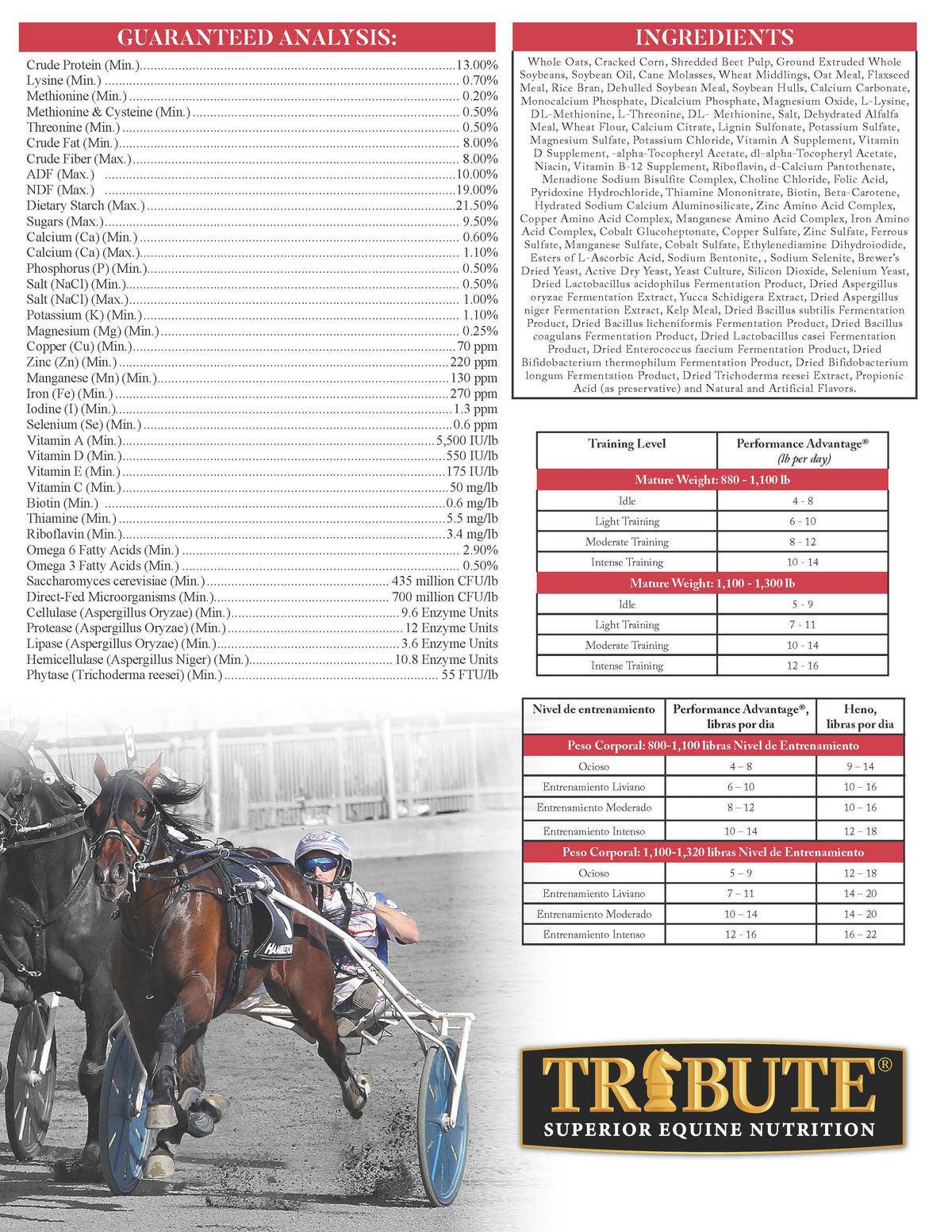 Performance Advantage® Textured Race Horse Feed