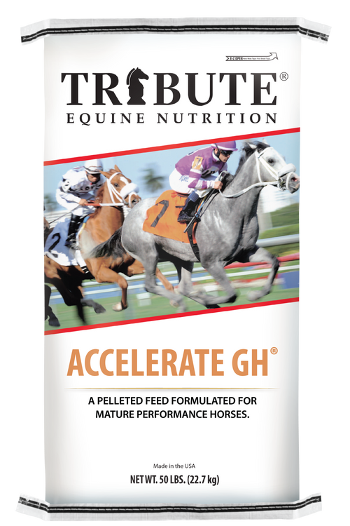 Accelerate GH® (Canada), Pelleted Feed for Race Horses