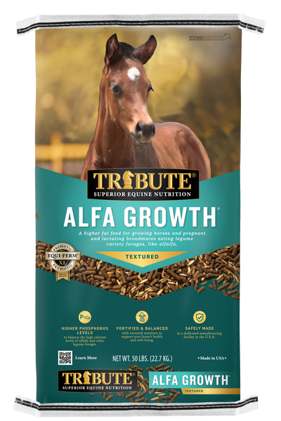 Horse food supplies near me online