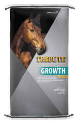 Growth Horse Feeds for Pregnant Mares & Foals – Tribute Equine Nutrition