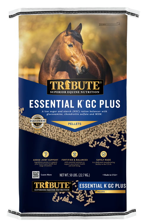 https://tributeequinenutrition.com/cdn/shop/products/EssentialKGCPlusfront_500x.png?v=1664545371