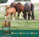 Growth Cubes, Mare & Foal Feed