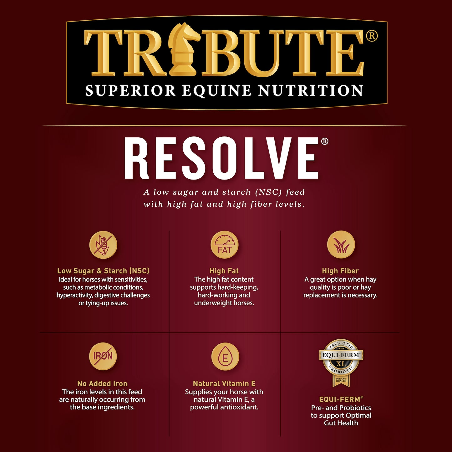 Brumate® Nav XL 32oz – Tribute Equine Nutrition