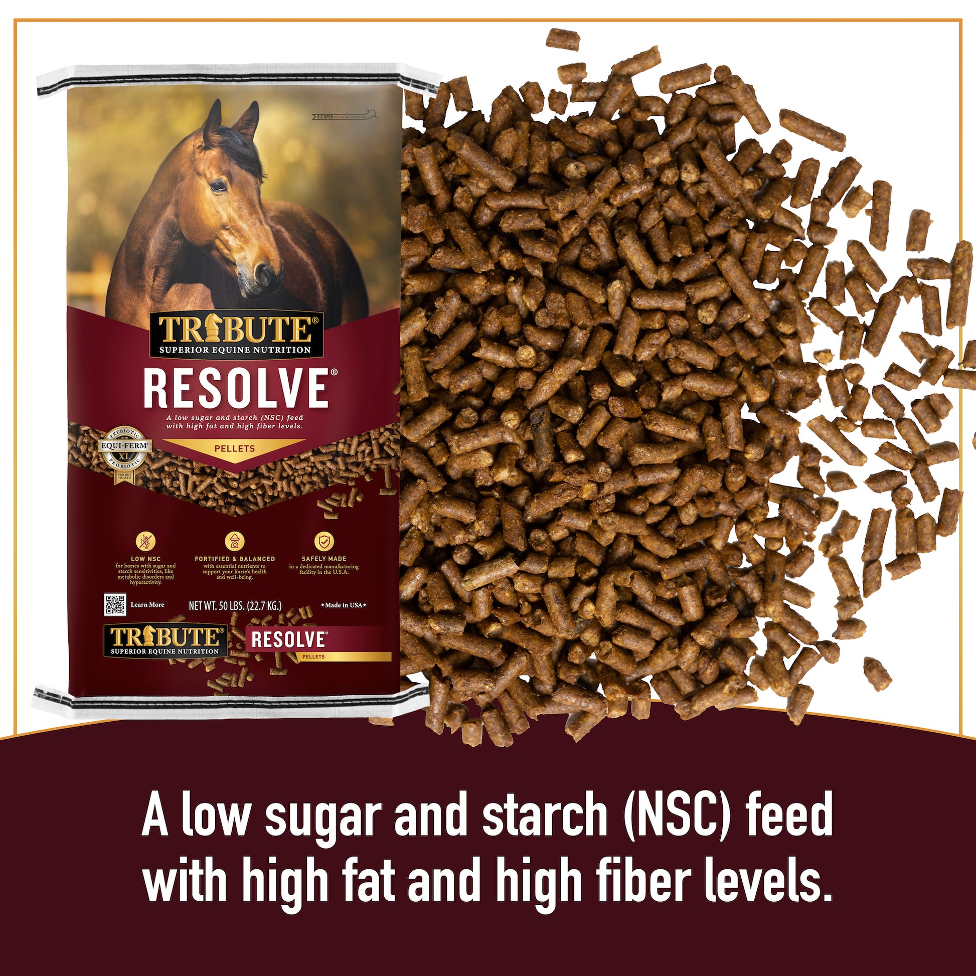 A Simple, Logical, Inexpensive Way to Feed your Horse? - Hi Form Equine -  Premium Horse Supplements