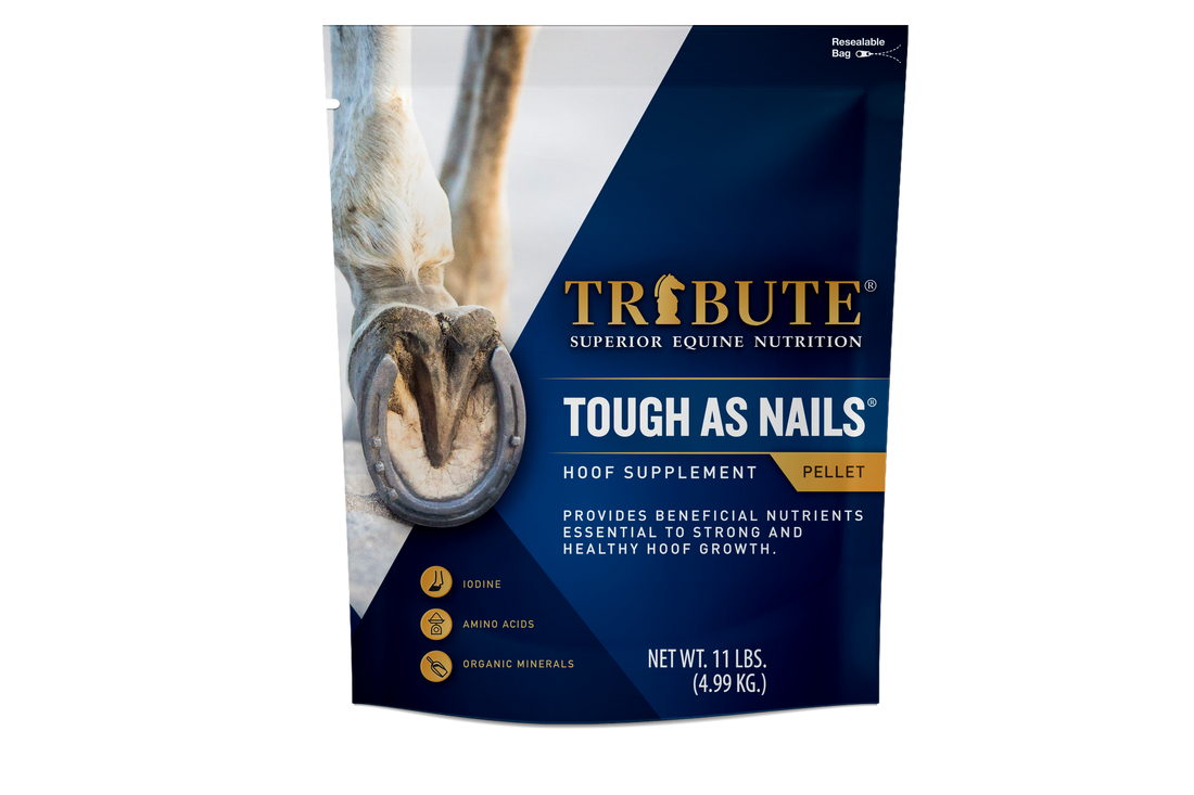 Tough As Nails Pelleted Hoof Supplement for Horses Tribute Equine