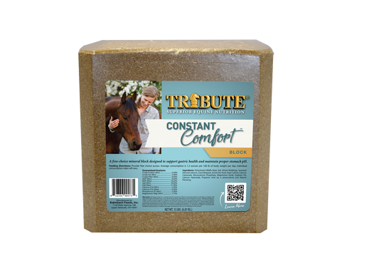 Constant Comfort™ Supplement Block to Support Gut Health
