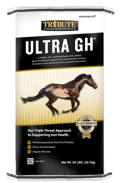 about glutathione tablets Glutone 500 MG Tablet