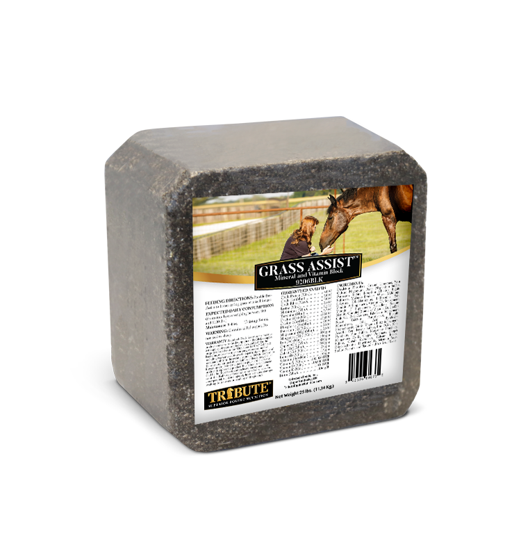 Grass Assist™, Vitamin & Mineral Block